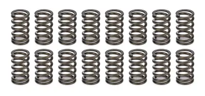 Crower Cams Valve Springs - 1.045