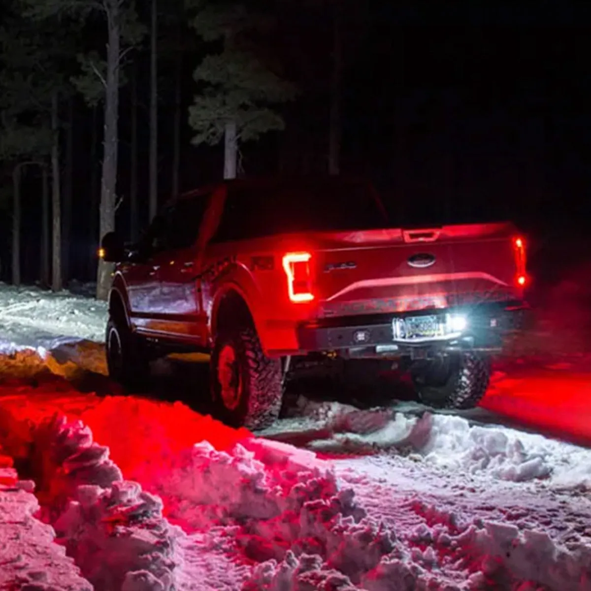 Ultra High Power 3-Watt White LED License Plate Illumination Kit - Fits Ford 15-17 F-150 17-19 Raptor product image