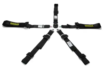 Schroth Racing 5pt Harness Profi 2x2 Pull-Up Lap
