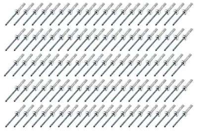 FiveStar Small Head Rivet Silver 100pc 3/16in