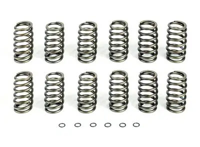 Pacbrake Basic Spring Kit 12 Springs For 94-98 Dodge Ram 25003500 Cummins 12 Valve Engine Pacbrake