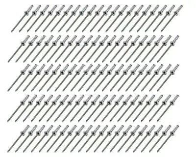 FiveStar Small Head Rivet Silver 100pc 1/8in