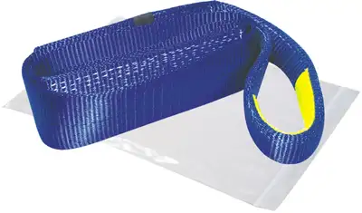 Bulldog Winch Tree Saver Strap 3 Inch x 6 Foot 30000 LB BS Polyester Blue Bulldog Winch
