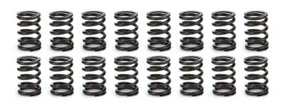 COMP Cams Comp Cams 26903-16 Set, Single Spring, 1.404 Od, 1.650 Ih, .550 Lift, 300 Lbs/In, hf