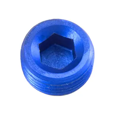Redhorse Performance 02 (1/8) Npt Hex Head Pipe Plug Blue 2/Pkg