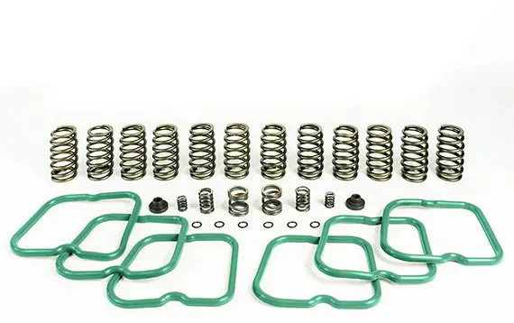 Premium Spring Kit 12 Springs For 94-98 Dodge Ram 25003500 Cummins 12 Valve Engine With a P7100 Injection Pump Pacbrake product image