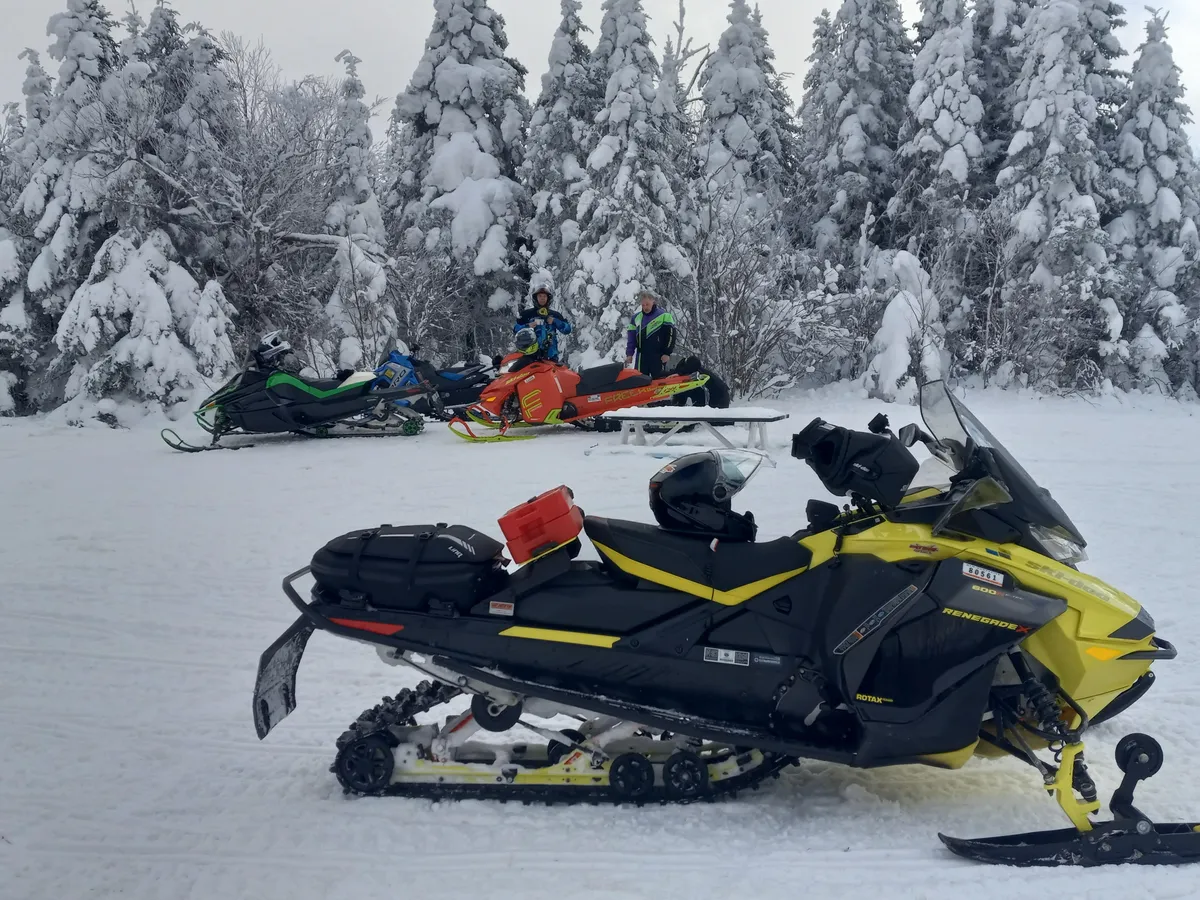 1 Gallon Gasoline product image