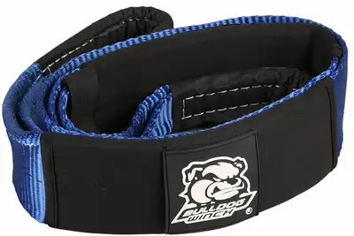 Bulldog Winch Tree Saver Strap 3 Inch x 6 Foot 30000 LB BS Polyester Blue Bulldog Winch
