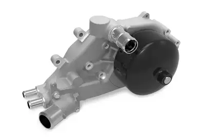 Holley Lswater Pump Forward Facing Inlet All Standard
