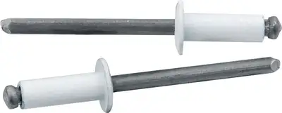 Allstar Performance Sm Hd Rivet White 250pk