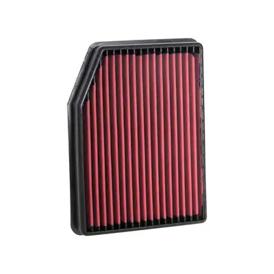 AEM Induction DryFlow Air Filter
