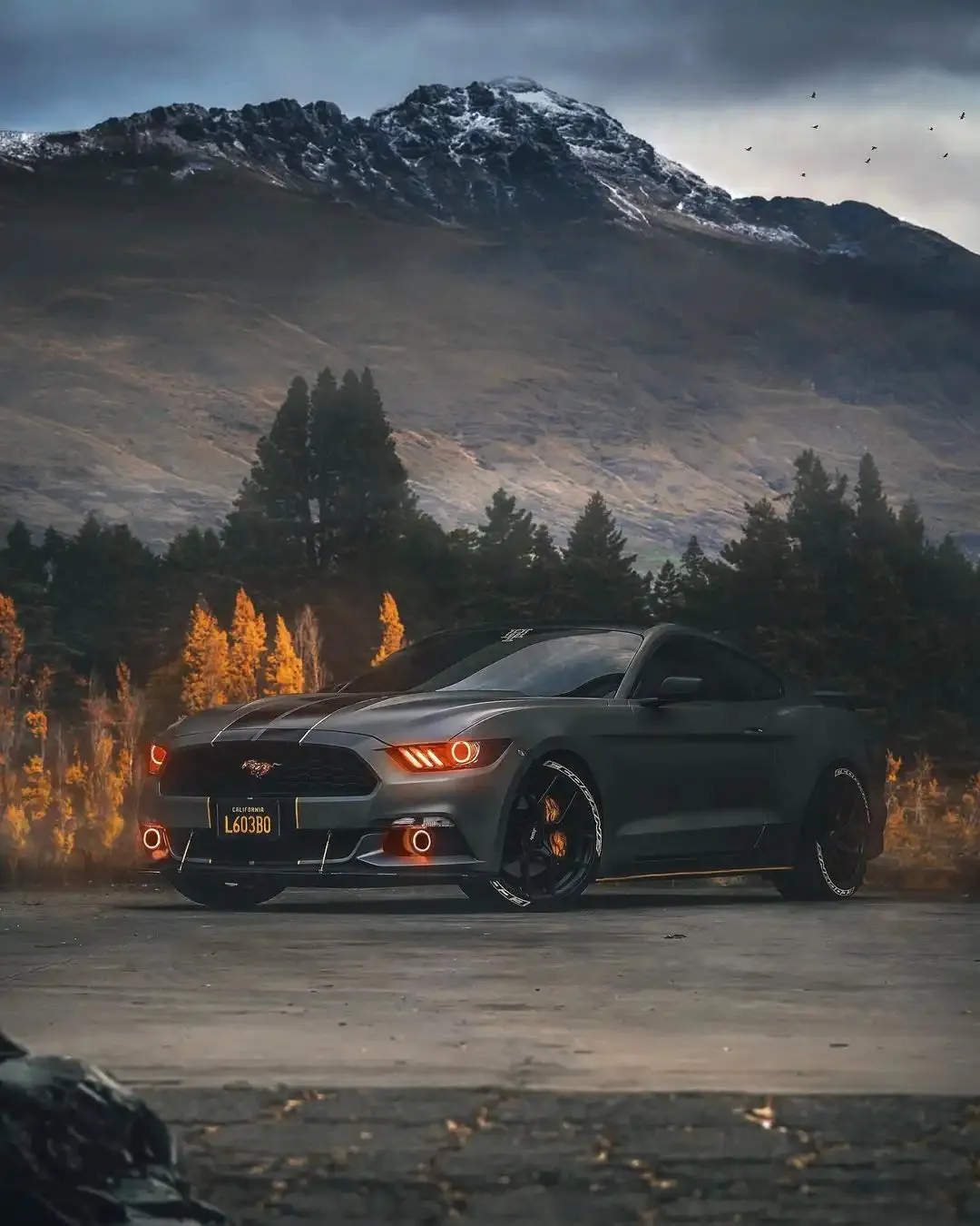 ORACLE Lighting 2015-2017 Ford Mustang V6/GT/Shelby ColorSHIFT DRL Upgrade w/Halo Kit product image
