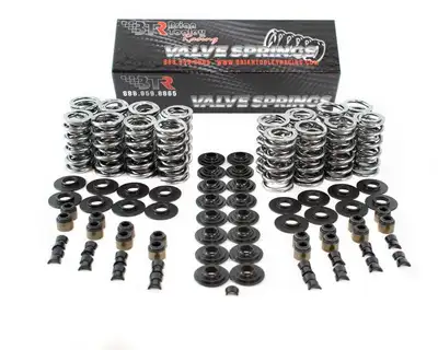 Brian Tooley Racing Platinum LS Dual Springs .660in Lift
