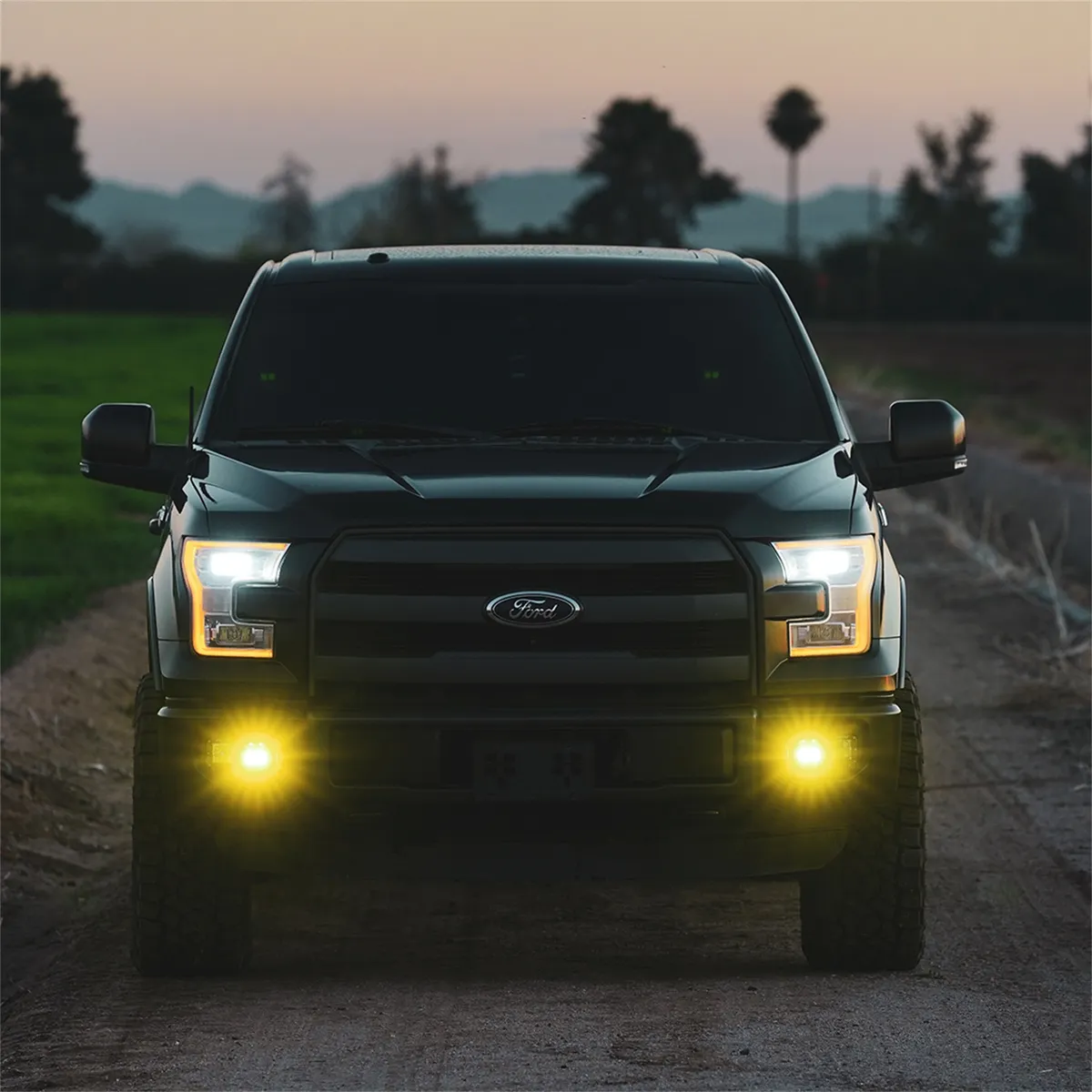 Rigid Industries D-Series SAE Fog Lights, Amber/White - Pair product image