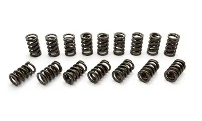 Manley Manley 22431-16 Manley Valve Spring, Spring-1.550 Chr Sil