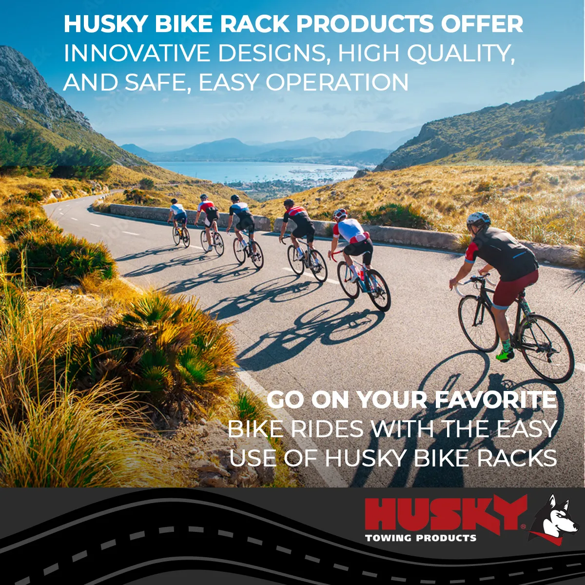 Husky Towing 81147 2 Receiver Mount Holds 4 Bikes Tiltable Frame Clamp Without Lock Non-Folding product image