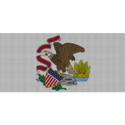 Under The Sun Inserts Illinois State Flag