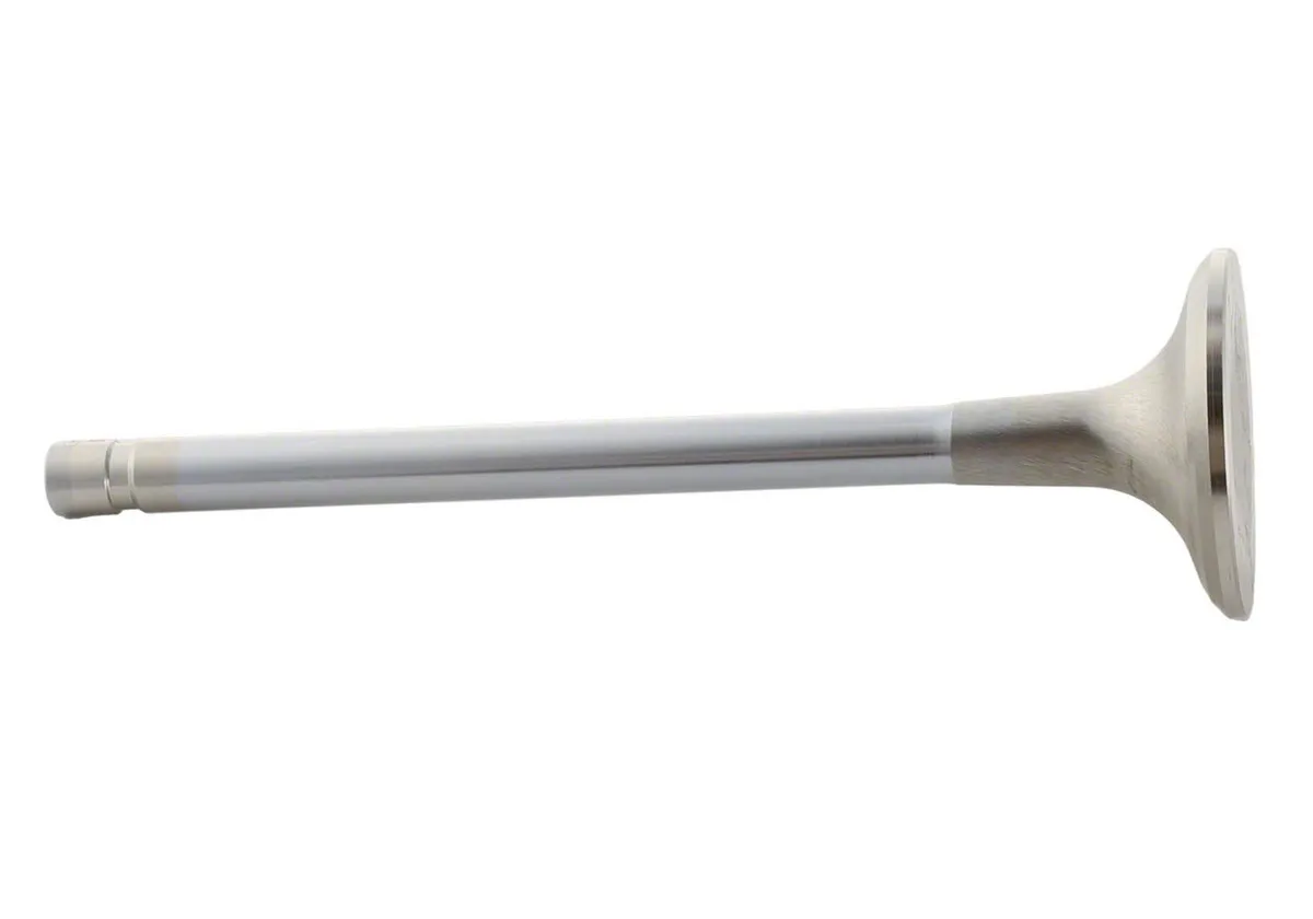 Ford Performance - Exhaust Valve 302/351W - M-6505-B304 product image