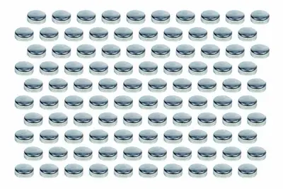 Pioneer Expansion Plugs - 1-5/8 (100)