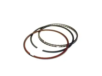 Total Seal Piston Ring Set 4.165 Gapless Top