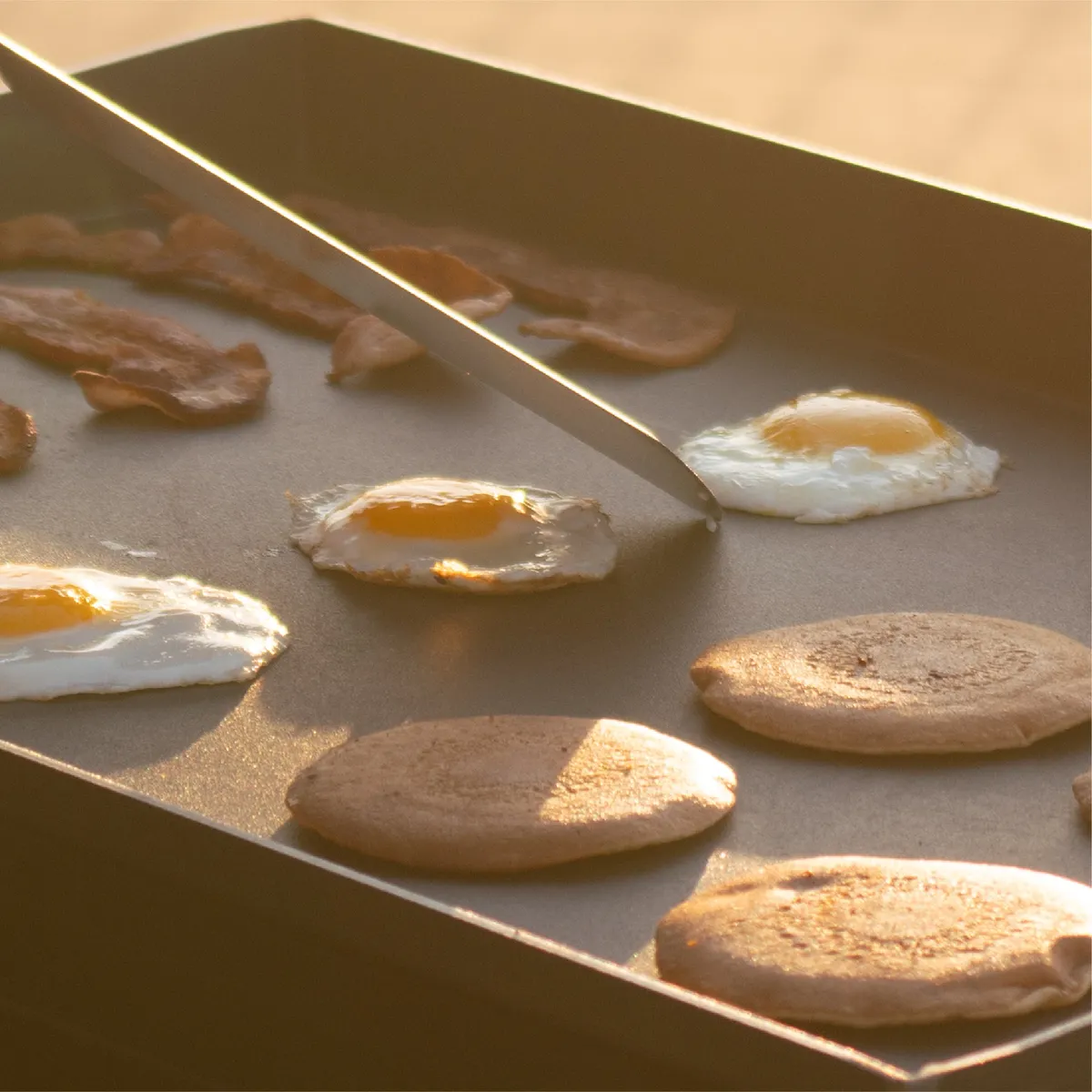 Performance Series™ 28" 2-Burner Gas Griddle with Cart and Hard Cover product image
