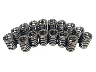 COMP Cams COMP Cams 983-16 Engine Valve Spring Kit