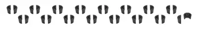 PAC Racing Springs 7mm Valve Locks - 7 Degree FMOD