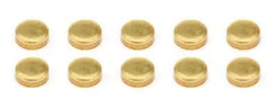 Pioneer Expansion Plugs 10pk - Brass 1-3/8 Dia