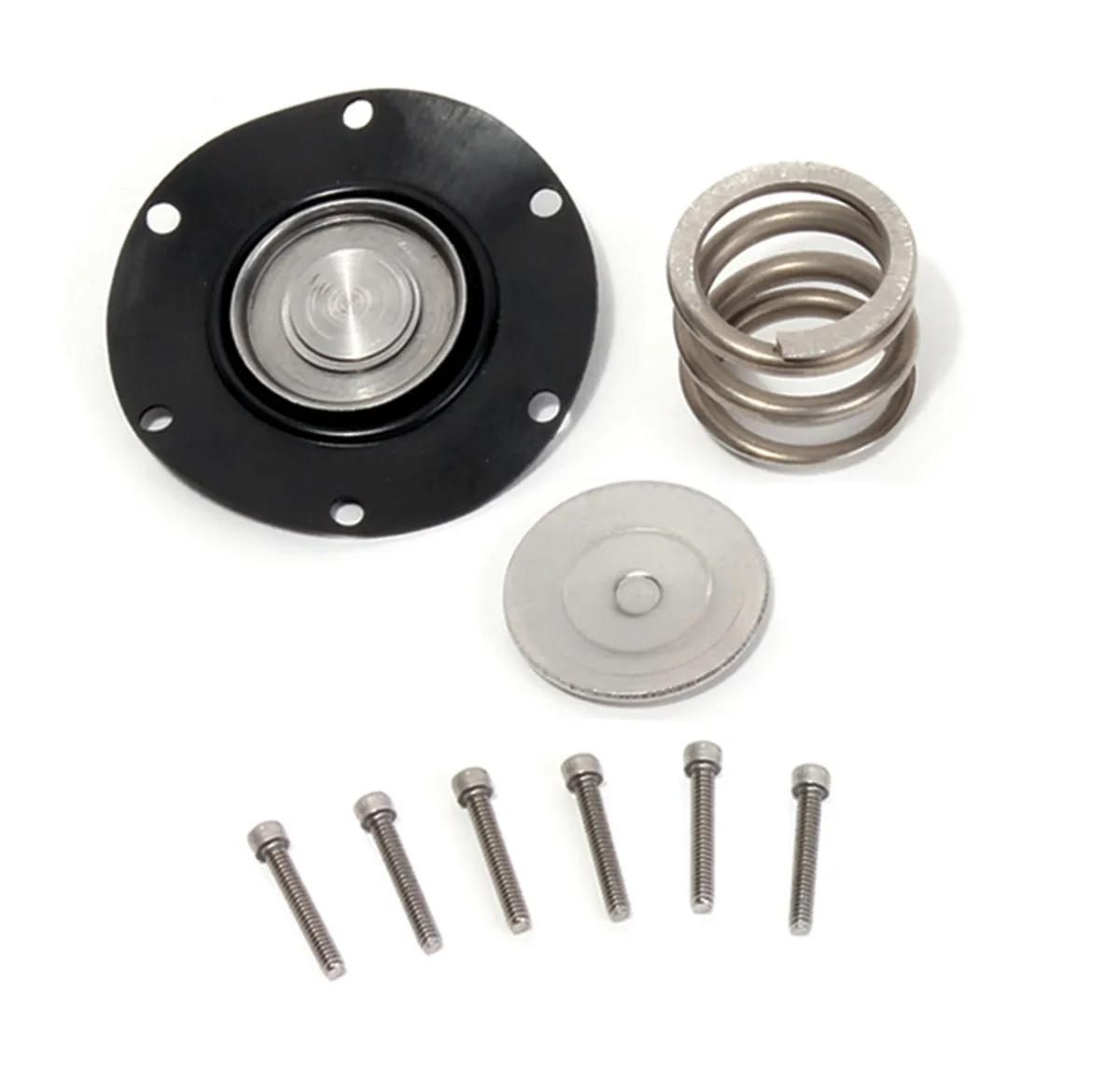 Bbk Fuel Pressure Regulator Rebuild Kit For Bbk 1706, 1707 Only product image