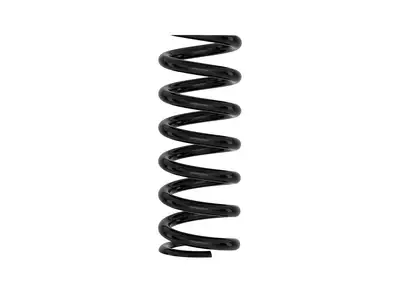 ICON Vehicle Dynamics Coil Spring 1400.0300.0700 Black