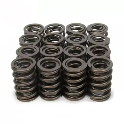 PAC Racing Springs 1.490 Dual Valve Springs (16)