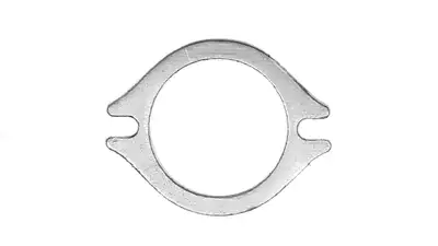 Remflex 2 Bolt Slotted Holes 4in to 43/8in Bolt Hole Spacing Pipe Flange Gasket 1(Ea)