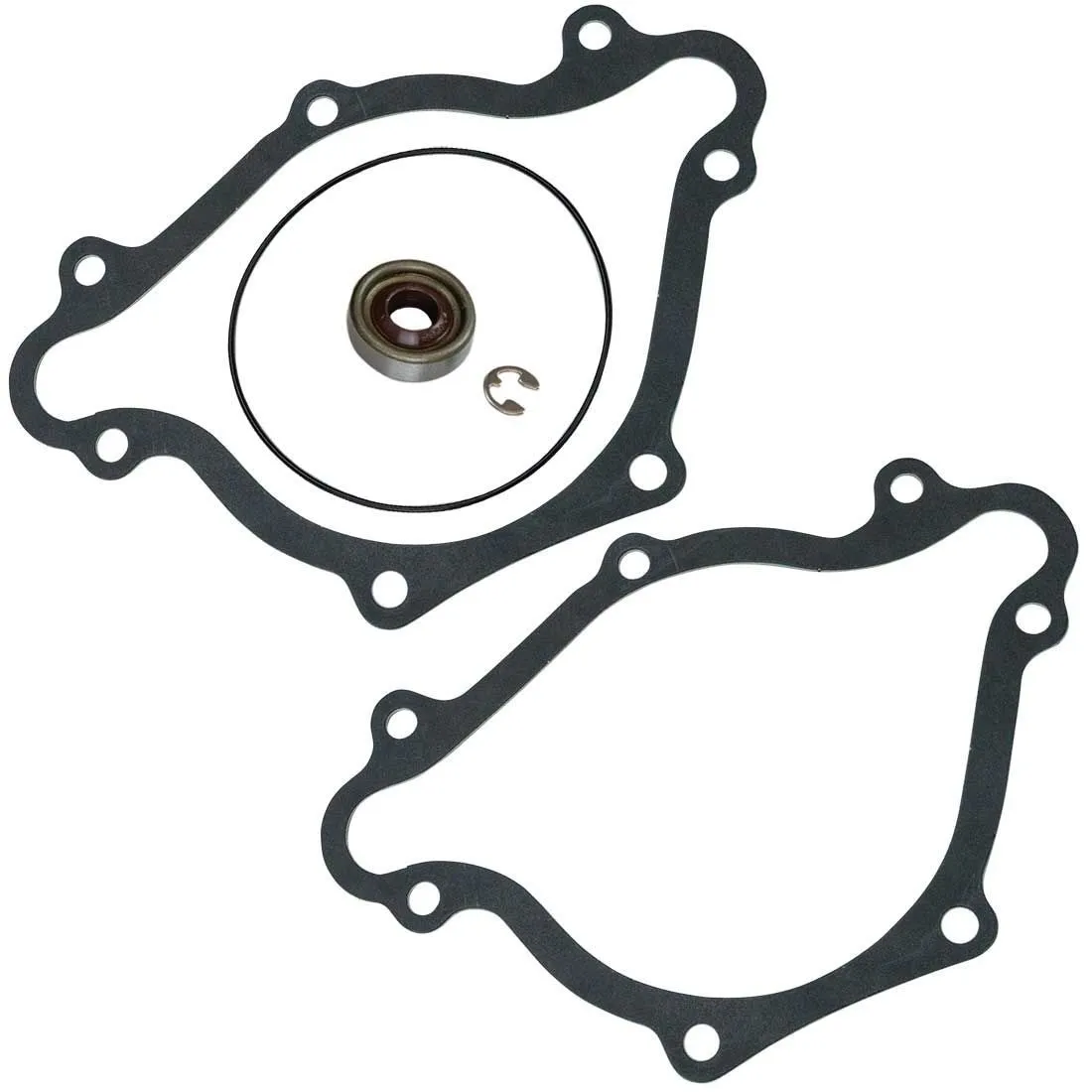 Moroso Sbm Rebuild Gasket & Seal Kit For Electric Water Pump no 63565