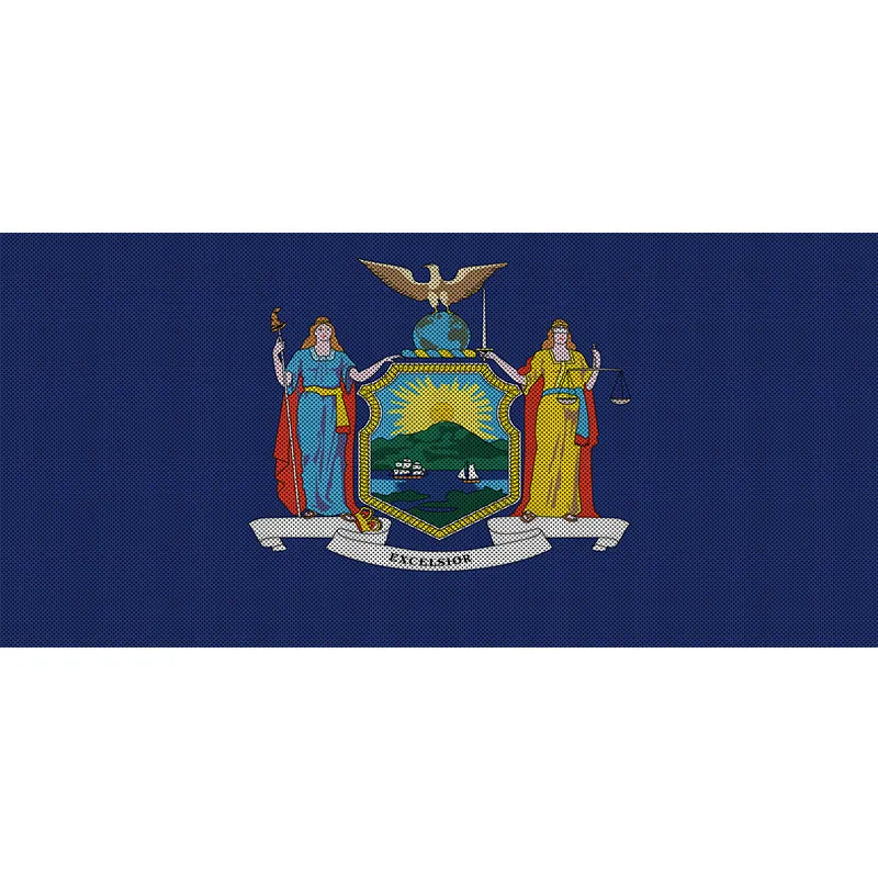 Under The Sun Inserts New York State Flag