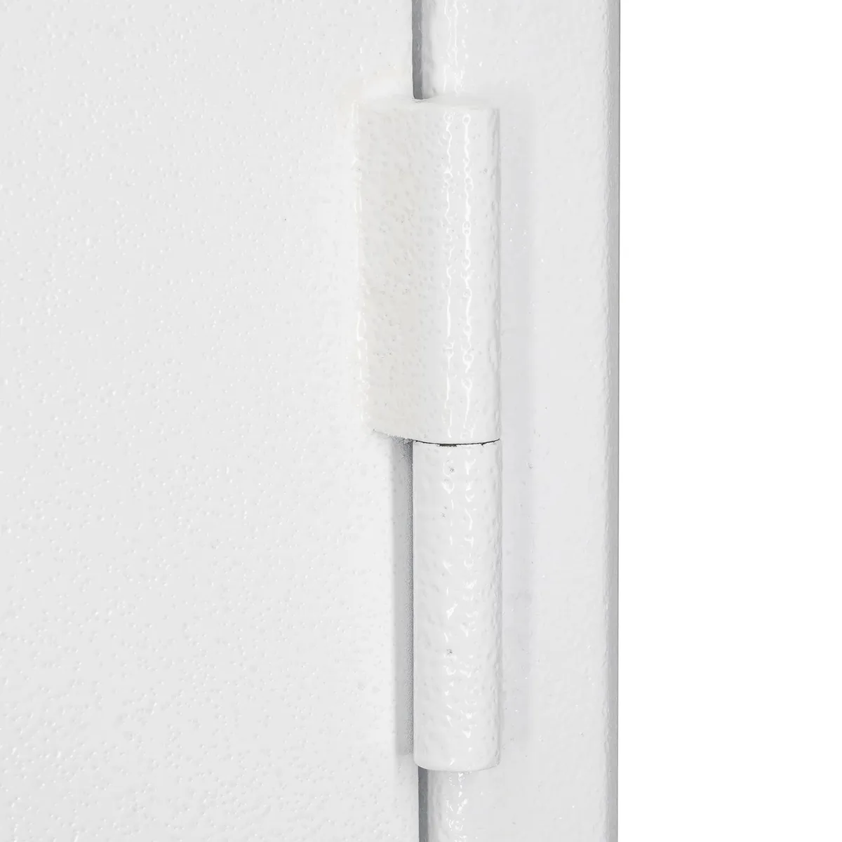 Cannon Fortified 60 min. Fire-Resistant Home Safe FD3220-H6TEB-23-DS product image
