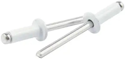 Allstar Performance Sm Hd Rivet White Alum 250pk