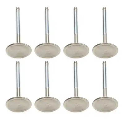 Ferrea SBM C/6 2.020 Intake Valves 3/8 x 4.980