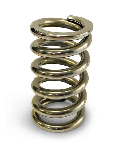 Proform Midweight Precision Calibrated Test Spring