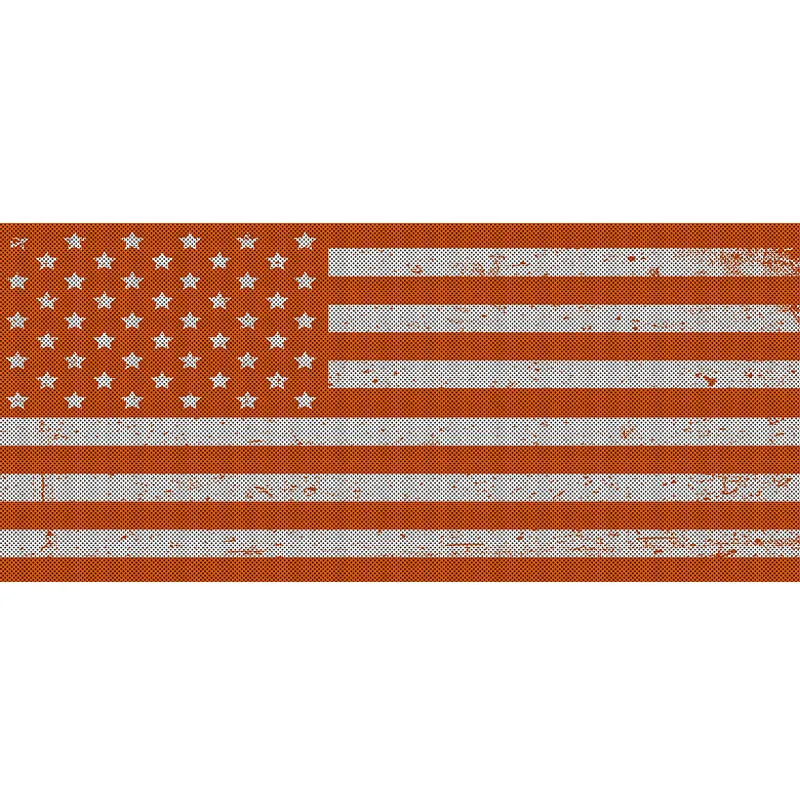 Oranges Collection American Flag Grille Inserts product image