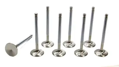 Edelbrock Edelbrock 9766 Valve for 60229, 60259, 60329, 60359, 60989, AMC & SB Chevy