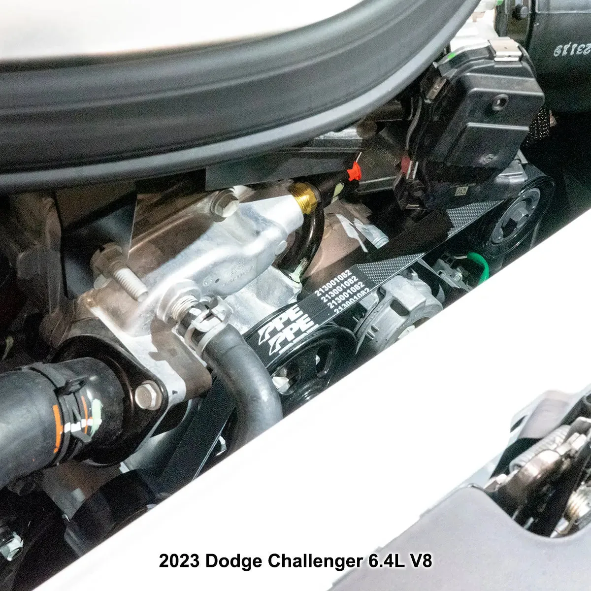 Pacific Performance Engineering Serpentine Belt - 2012-2023 Dodge Challenger/Charger V8 2081mm 6 Rib product image