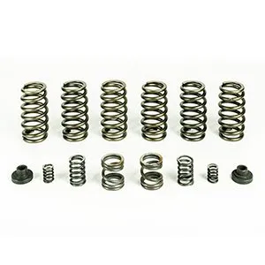 Pacbrake Spring Kit 6 HD Valve Springs For 94-98 Dodge Ram 25003500 Cummins 12 Valve Engine W P7100 Injection Pump Pacbrake