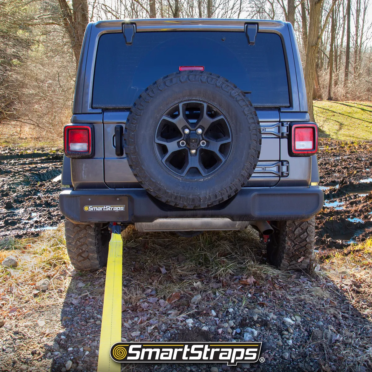 2in x 30ft 15000lb Recovery Strap W/Loop Ends product image