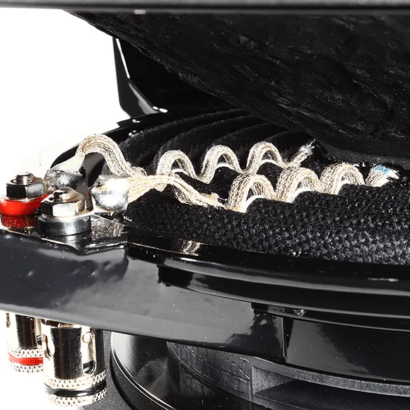 sa Inclassicin 10in d2 (Black Motor)(750w) Subwoofer product image