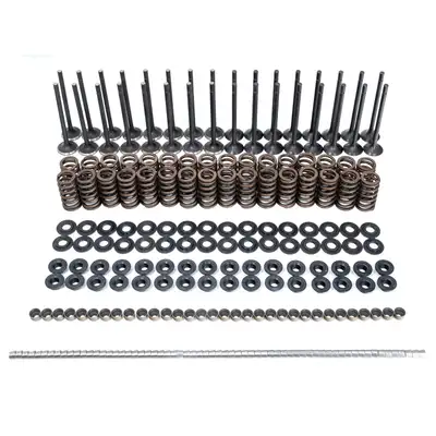 Pacific Performance Engineering 0116 gm 6.6l Duramax Intake & Exhaust Valves & Conical Valve Springs (Beehive)