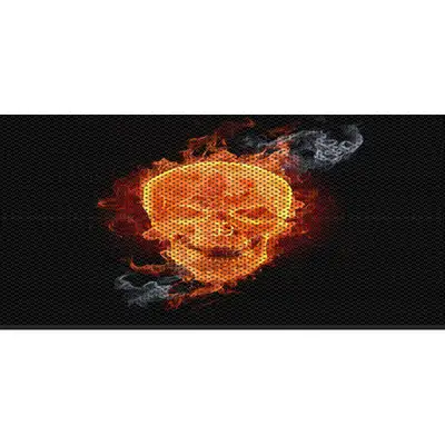 Under The Sun Inserts Flaming Skull