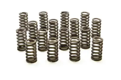 PAC Racing Springs 1.445 Valve Springs - Ovate Beehive (16)
