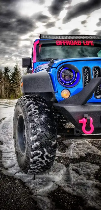 Steinjager Exterior Accessories 2007-2018 Light Mounts A-Pillar Brackets Hot Pink