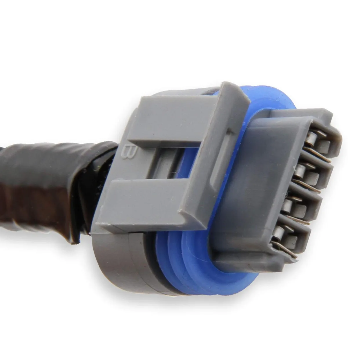 Holley LS Coil Harness product image