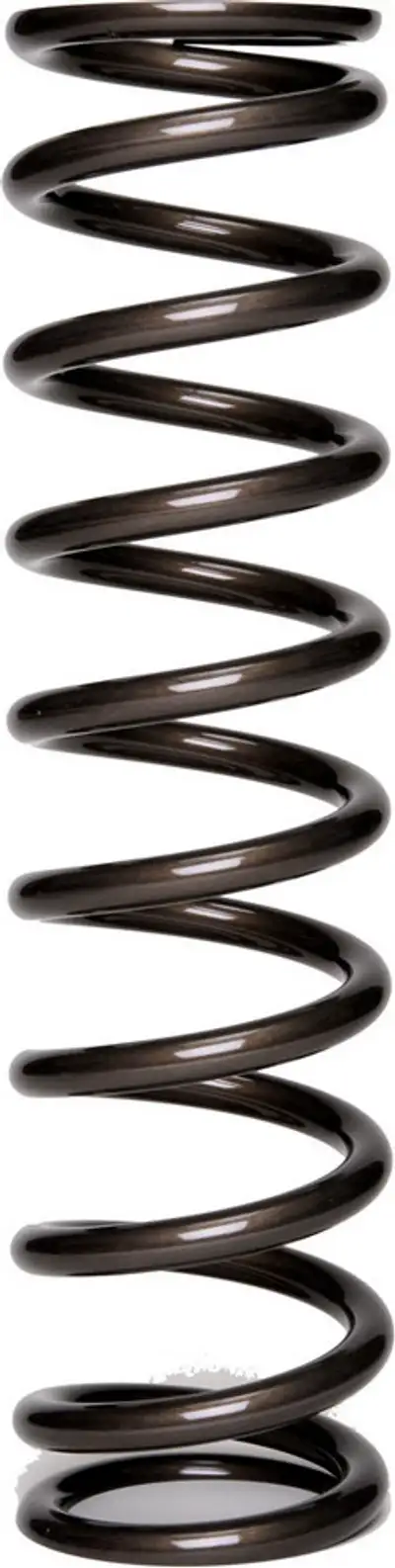 Landrum Springs 12in Coil Over Springs